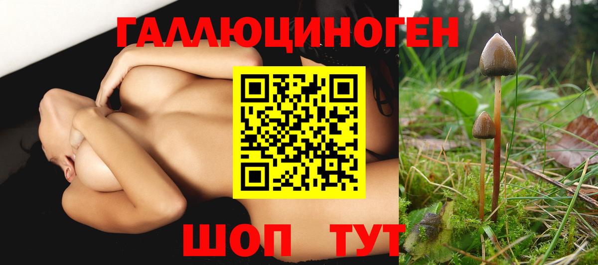 Псилоцибиновые грибы MAGIC MUSHROOMS  Псилоцибиновые грибы MAGIC MUSHROOMS  Прокопьевск  Вход с VPN 