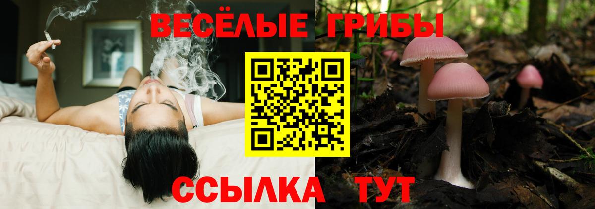 Галлюциногенные грибы мицелий Прокопьевск