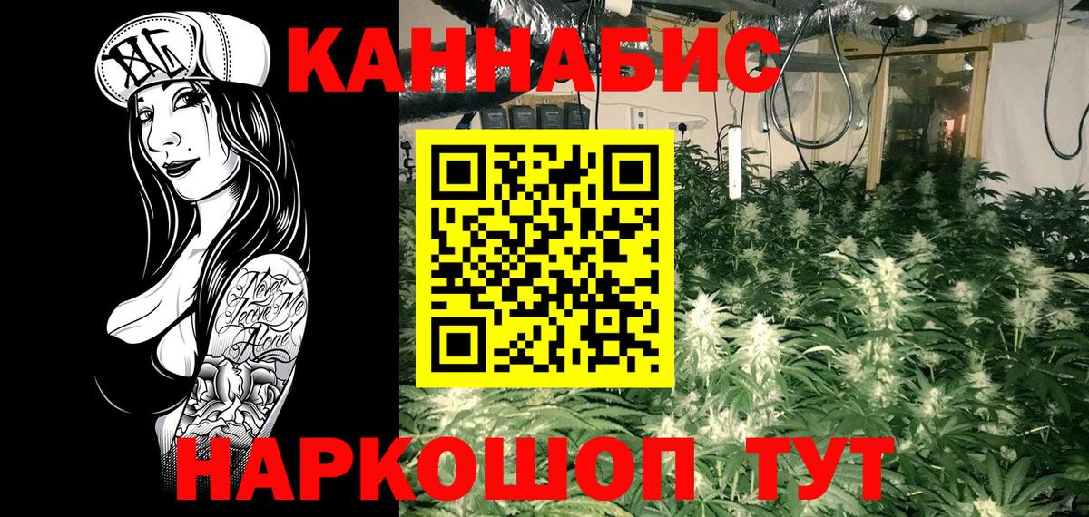 Прокопьевск  Шишки марихуана план  Бошки марихуана планчик  Каннабис MAZAR  Вход с VPN 